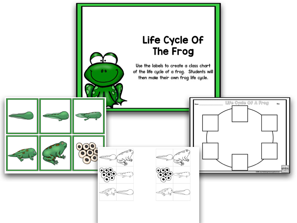 Read It Up! There Was An Old Lady Who Swallowed A Frog