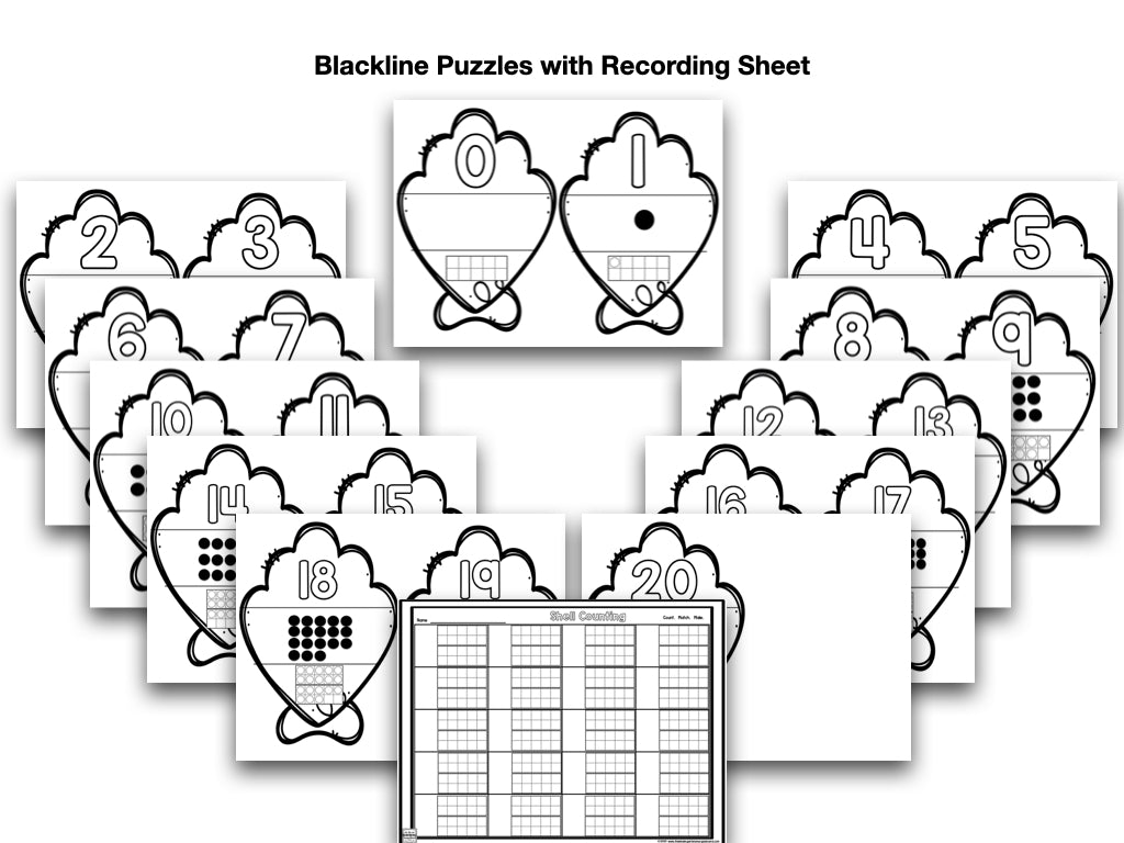 Shell Numbers & Counting – The Kindergarten Smorgasboard Online Store
