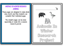 Animals In Winter Research Project