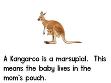 Frogs and Kangaroos Emergent Reader