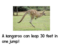 Frogs and Kangaroos Emergent Reader