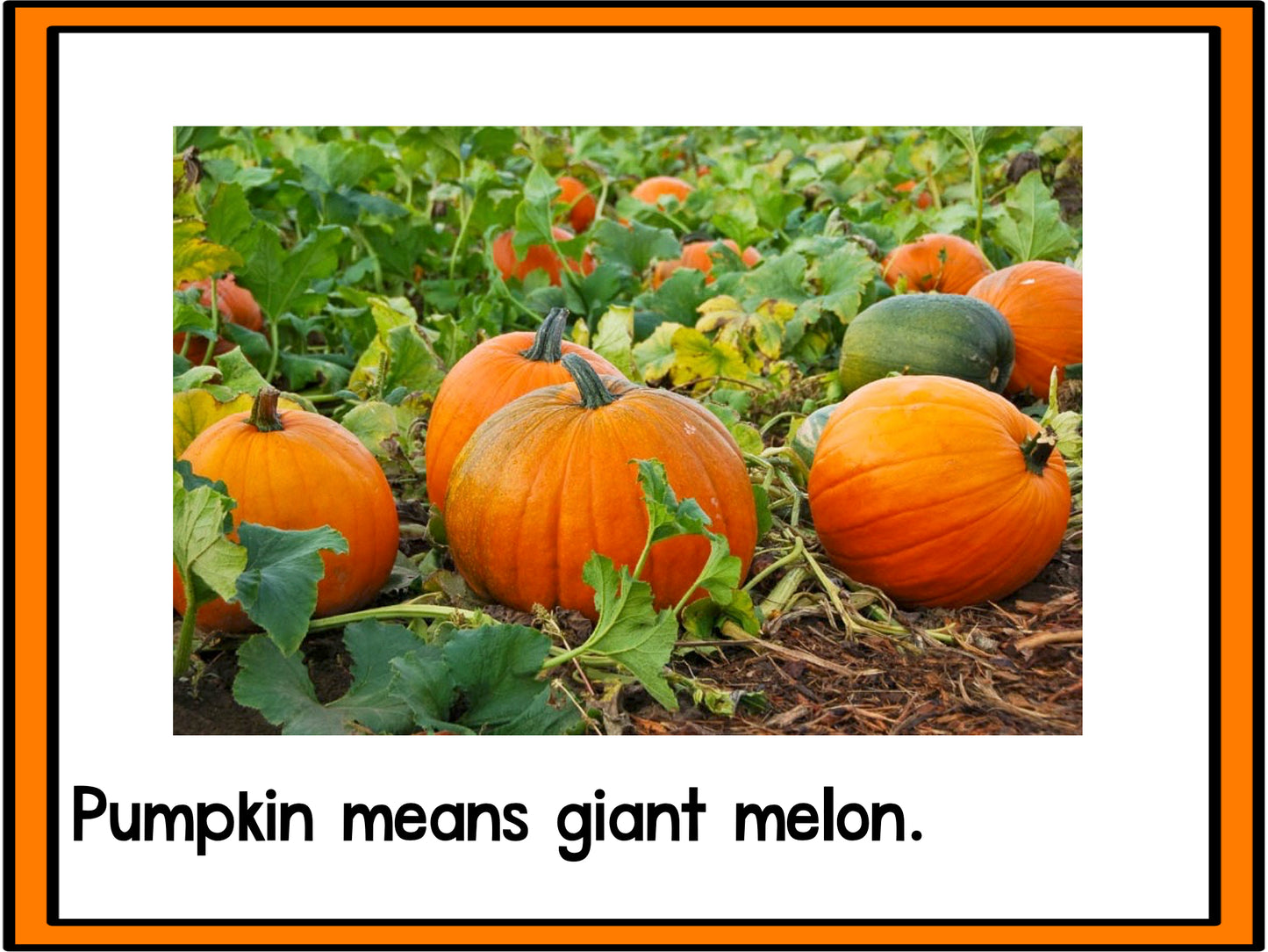 Giant Pumpkins Emergent Reader