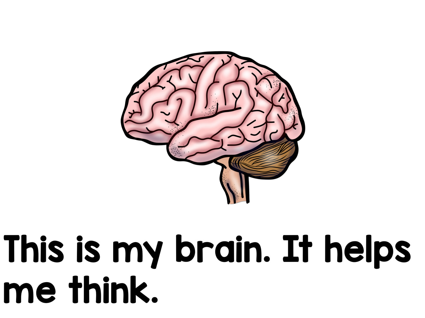 The Human Body Emergent Reader