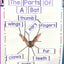 Bats & Spiders ONE DAY ONLY Bundle