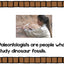 Paleontologists Emergent Reader