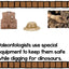 Paleontologists Emergent Reader