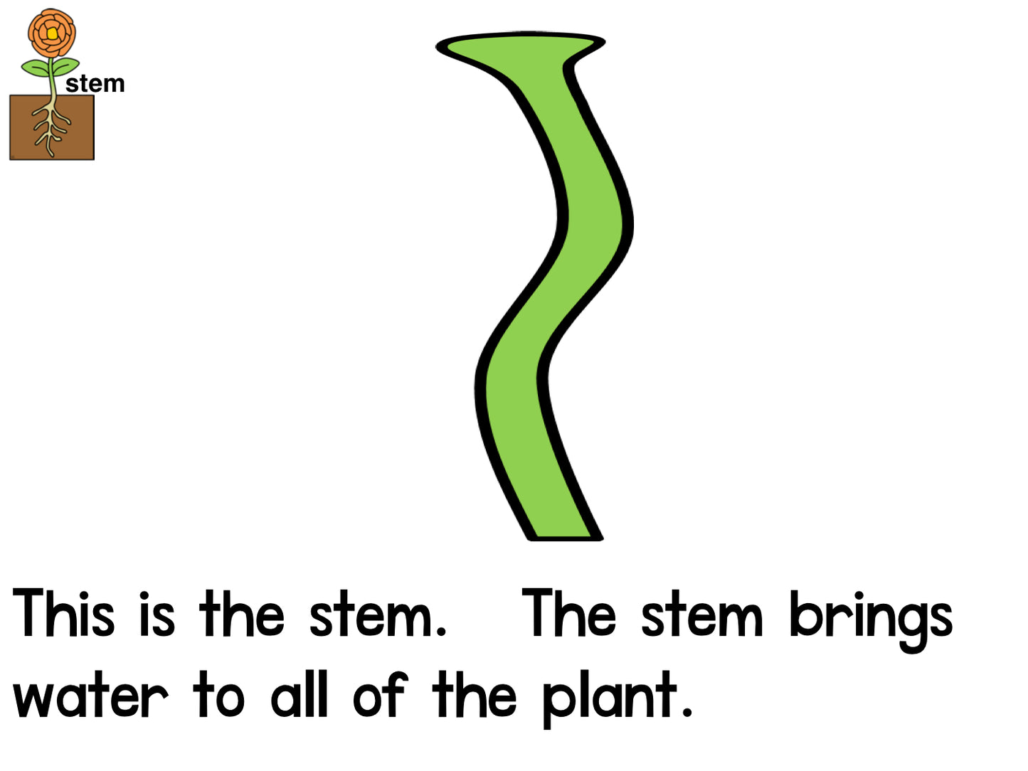 The Parts of a Plant Emergent Reader