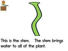 The Parts of a Plant Emergent Reader