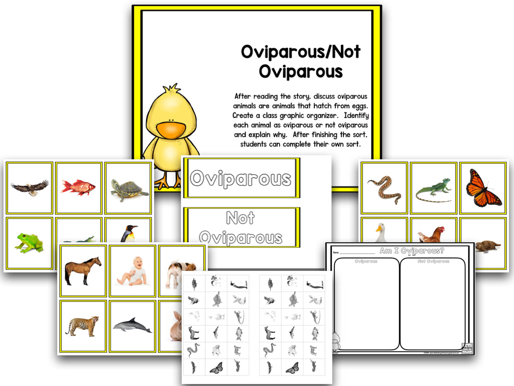 Read It Up! There Was An Old Lady Who Swallowed a Chick