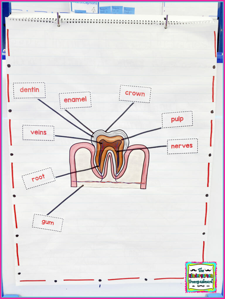 Teeth! A Dental Health Research and Writing Project