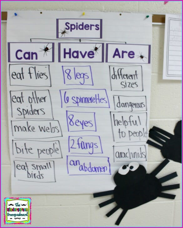 Bats & Spiders ONE DAY ONLY Bundle